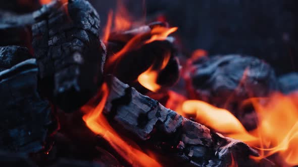 Close-up smoldered logs. Dark firewood glowing in campfire. Burning down logs in slow motion. alt
