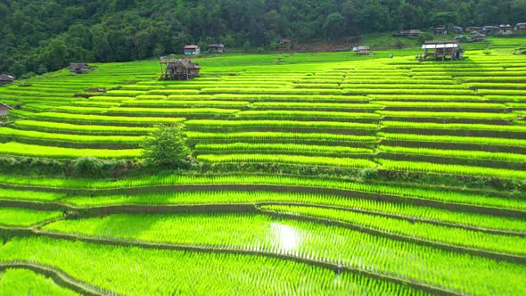 Drone flying over fields in Pa pong piang rice terraces alt
