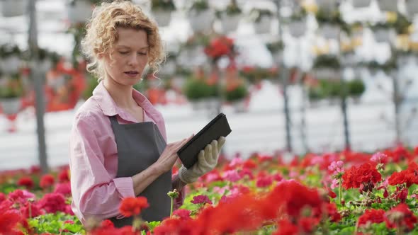 Girl with Digital Tablet Working in a Greenhouse alt