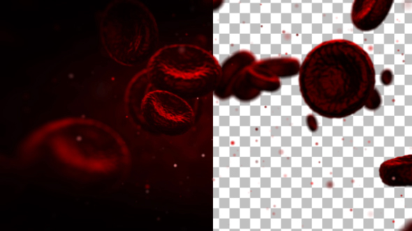 Red Cells
