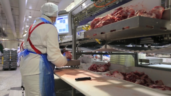 People Prepare Fresh Meat For Delivery To Stores.