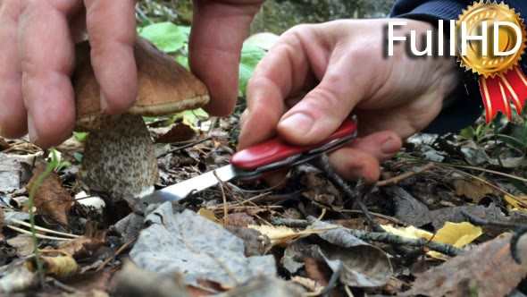 Mushroom Cuts Big Man's Hand With a Knife alt