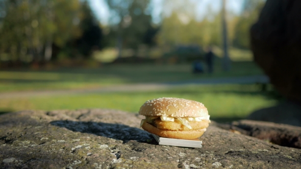 Ready Nice Hamburger With Chicken Lying On a Rock. Against The Background Of Blurred People Walking