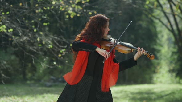 Violinist In The Autumn Forest. Girl Playing On The Violin In Nature