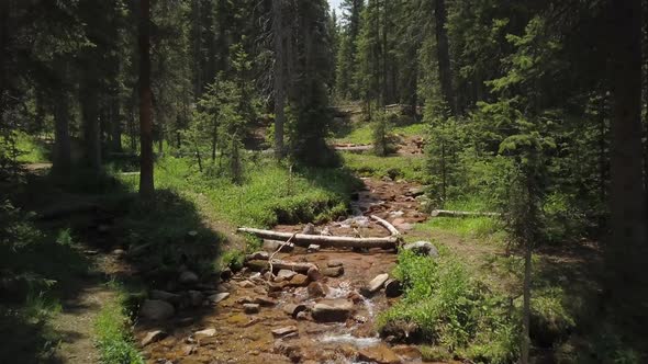 A Peaceful Stream in the Woods of Colorado, Low Flying Drone Shot, Forward Motion alt