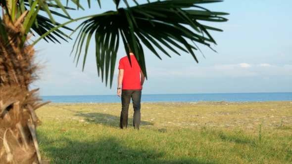 The Man On The Rocky Beach. Palm Tree In The Foreground. A Man Goes To The Sea And Comes Back From