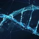Abstract Motion Background - Digital Binary Plexus DNA molecule HD Loop - VideoHive Item for Sale