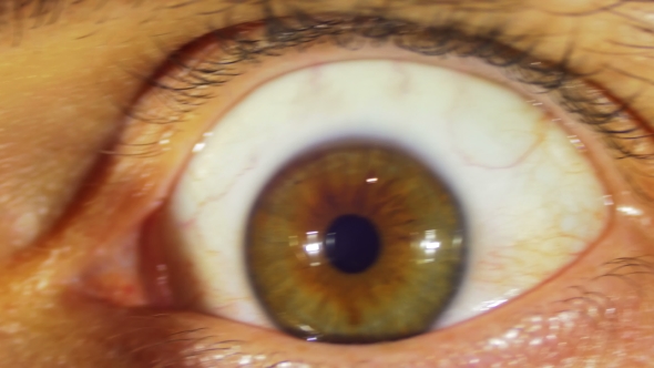 Crazy Eye Rotation alt