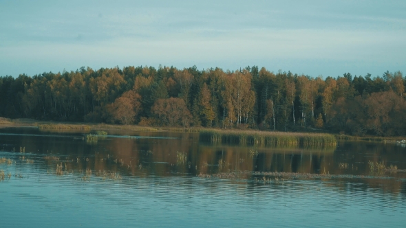 Autumn Scenery On The Pond. The Tranquility And Balance. Autumn Colors.