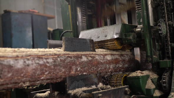 Wood Industry. View Of Log Sawing,