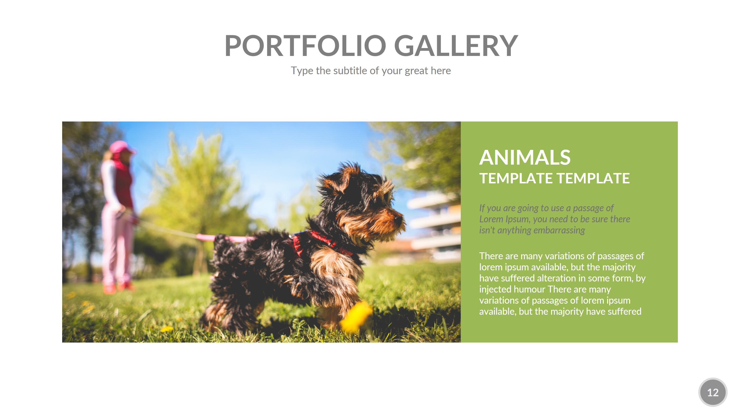 Animals PowerPoint Presentation Template, Presentation Templates ...