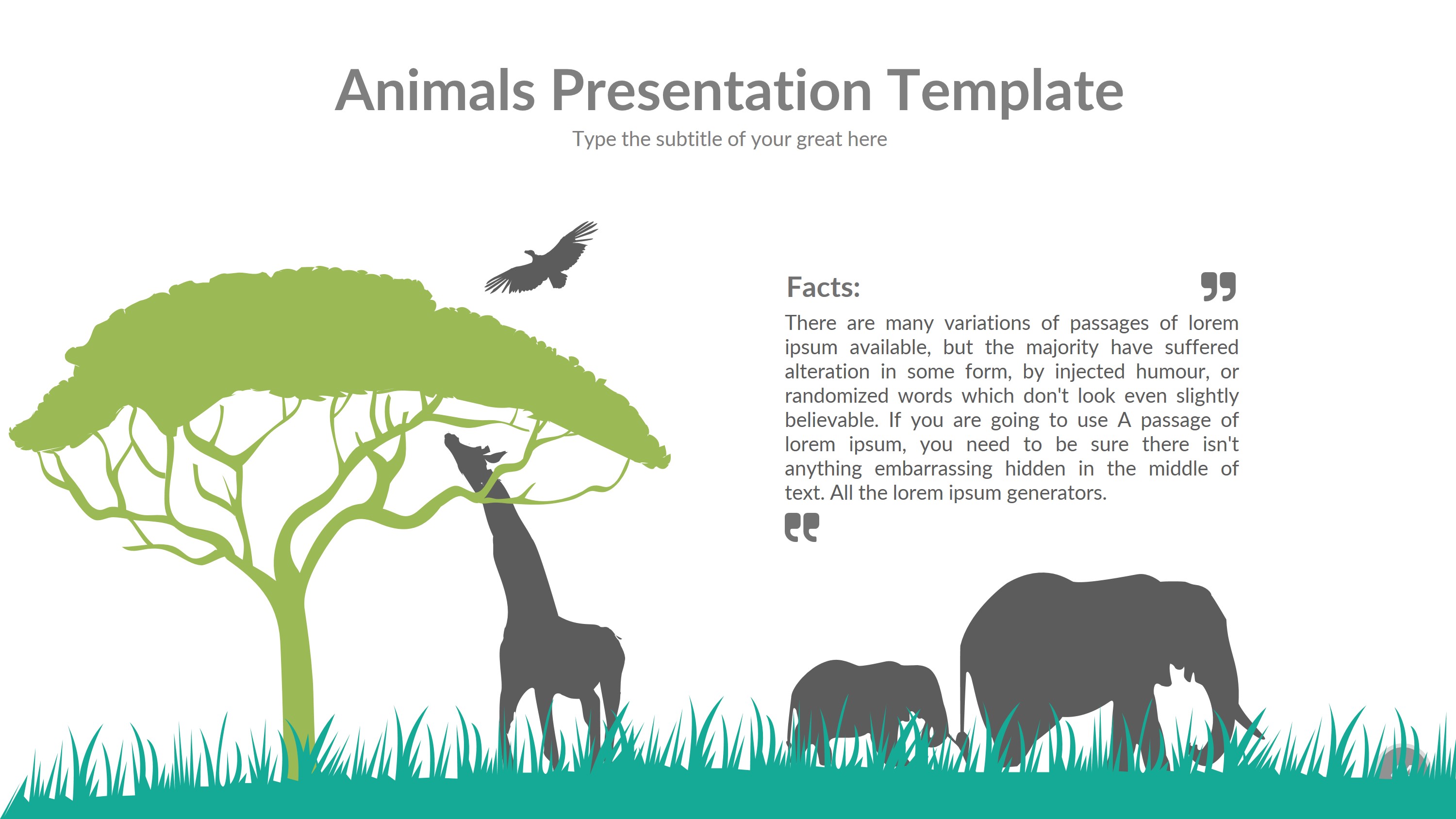 how to do a presentation on animals