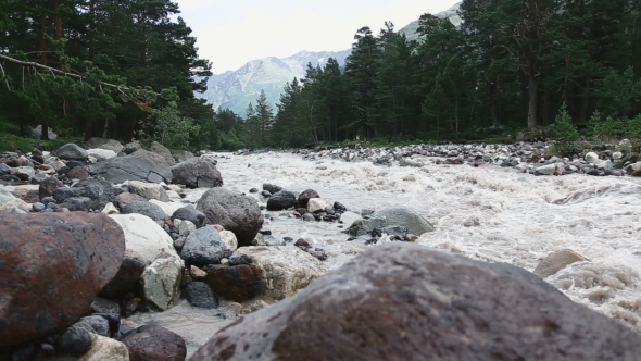 Beautiful Mountain River In Pine Forest alt