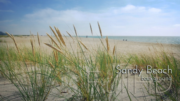 Sandy Beach on Summer Seaside