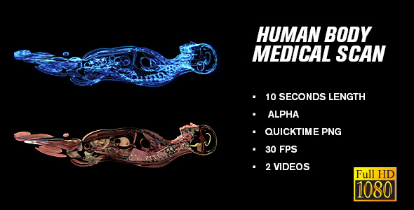 Human Body Medical Sagittal Scan