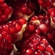 Splintered Rotating Fresh Pomegranate - VideoHive Item for Sale