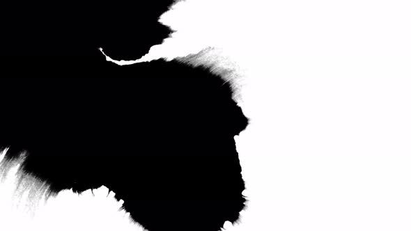 Ink Bloom. Beautiful Black Watercolor Ink Drops Transition on a White Background. alt