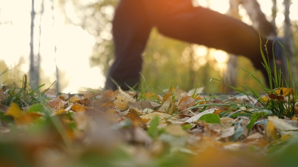 Young Men Are Running On Fallen Autumn Leaves In The Forest Against Shining Sun