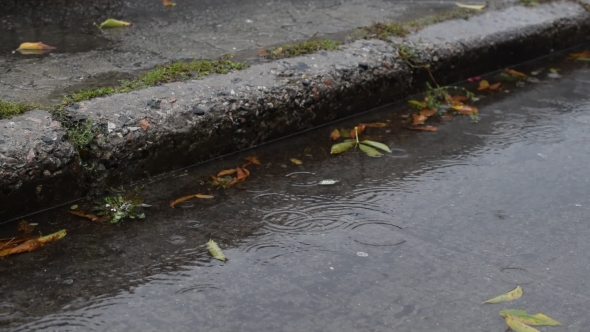 Rain In Autumn. Raindrops Fall On a Concrete Walkway