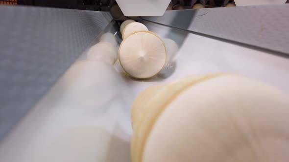 Ice Cream Automatic Production Line.Ice Cream Moves along the Chute to the Packaging Machine alt