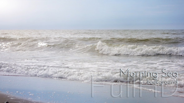 Morning Sea on Sandy Coast