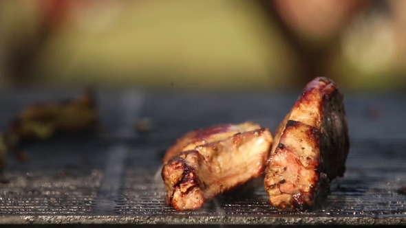 Cooking Meat On The Grill alt
