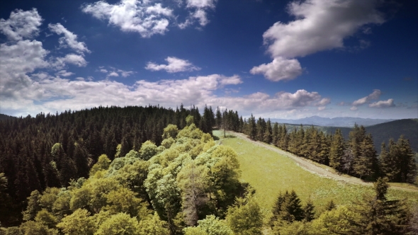 Aerial Landscape With Forest