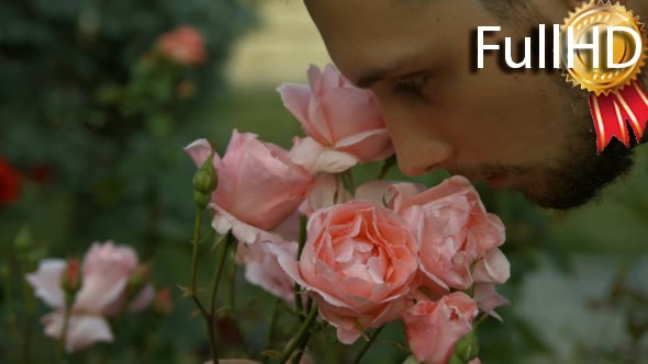 Young Man Sniffing Smelling Roses in the Park 01 alt