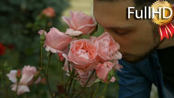 Young Man Sniffing Smelling Roses in the Park