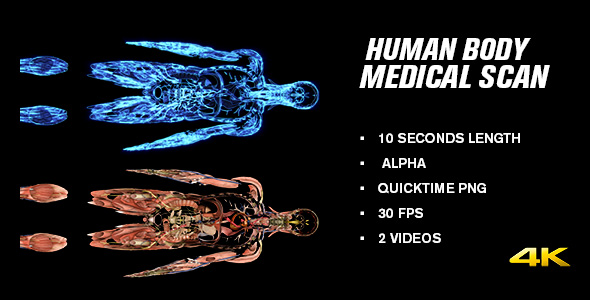 Human Body Medical Coronal Scan
