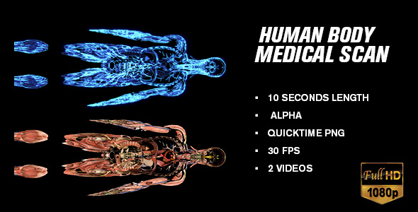 Human Body Coronal Medical Scan