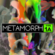 Metamorph Type 1A - VideoHive Item for Sale