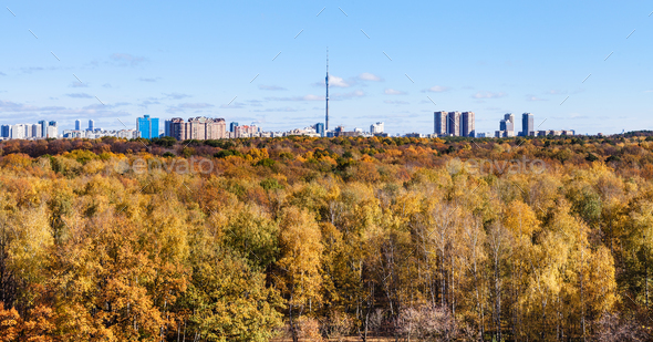 yellow autumn woods and city with tv tower