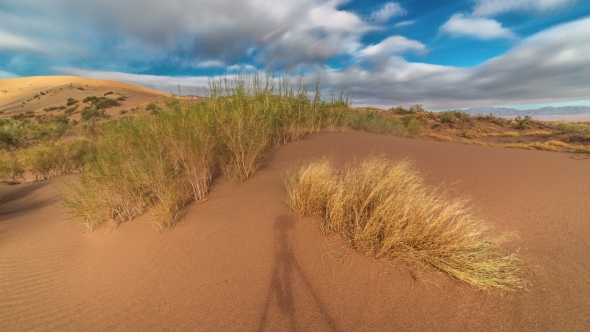 Sand Dune And Saxaul In The National Park Altyn Emel alt