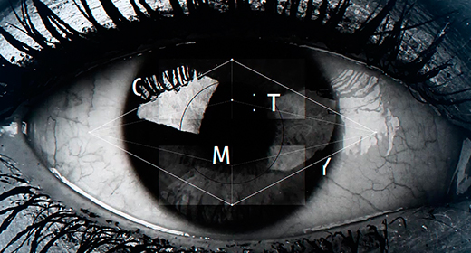 Top 20 After Effects of 2016