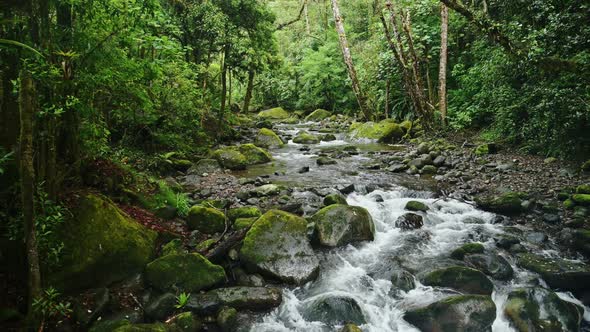 Rainforest River Landscape in Costa Rica, Beautiful Nature and Tropical Jungle Scenery with Water Fl alt
