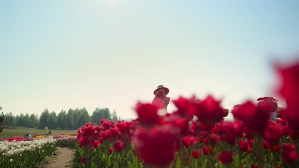 Beautiful Park with Flowers and Girl Taking Photos alt
