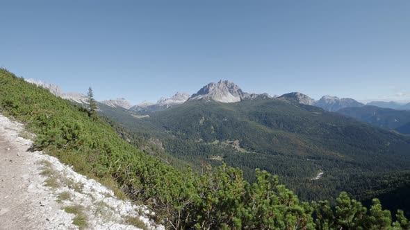 Forested valley in the Dolomites. Dolomites Alp Mountains, Belluno Province, Dolomiti Alps, Italy