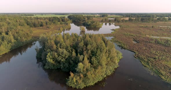 Aerial view of lake with small island full of trees. alt