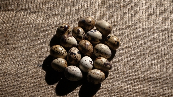 Quail Eggs Stacked On Burlap alt