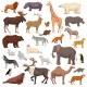 Animals Set, Vectors | GraphicRiver