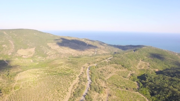 Beautiful Aerial Drone Shot Of A Vineyard