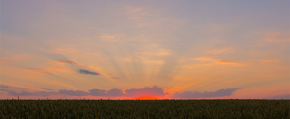 Untitled 2