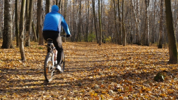 Man Riding In The Park