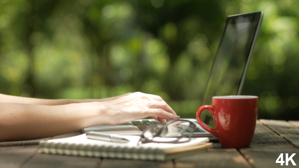 Typing On Laptop At Garden alt