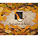 The Autumn Stone Logo - VideoHive Item for Sale