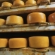 Manufacture Of Cheese - VideoHive Item for Sale