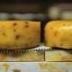 Cheese With Spices - VideoHive Item for Sale