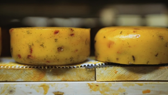 Cheese With Spices alt