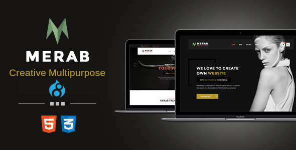 Merab - Creative Multipurpose Drupal 8 Theme - Corporate Drupal